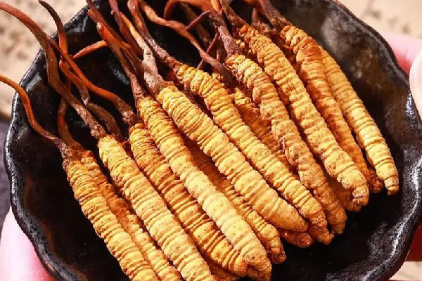 冬蟲夏草的價(jià)位大概是多少 冬蟲夏草哪個(gè)品牌質(zhì)量好 冬蟲夏草的價(jià)位大概是多少 冬蟲夏草哪個(gè)品牌質(zhì)量好