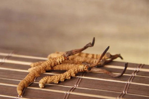 冬蟲(chóng)夏草的價(jià)位大概是多少 冬蟲(chóng)夏草哪個(gè)品牌質(zhì)量好