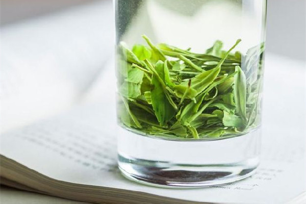 恩施玉露和信陽毛尖哪個好 恩施玉露的特點 恩施玉露和信陽毛尖哪個好 恩施玉露的特點