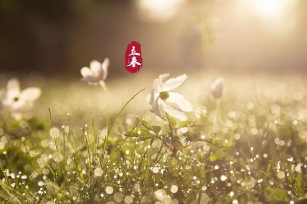 2023年立春有兩個嗎 2023年立春為什么是兩個 2023年立春有兩個嗎 2023年立春為什么是兩個