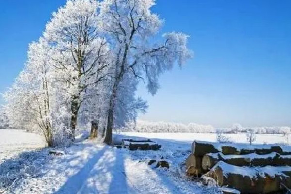 數(shù)九要注意什么 數(shù)九會(huì)做些什么 數(shù)九要注意什么 數(shù)九會(huì)做些什么