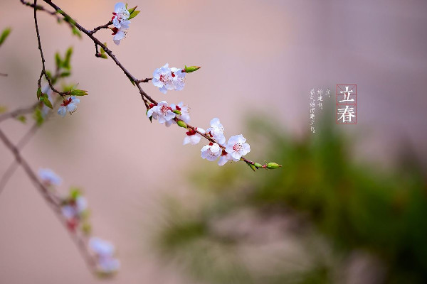 立春是2023年幾月幾日 立春是24節(jié)氣的第一個(gè)節(jié)氣嗎 立春是2023年幾月幾日 立春是24節(jié)氣的第一個(gè)節(jié)氣嗎