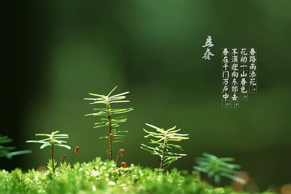 立春是六九頭一天嗎 立春適合結(jié)婚嗎 立春是六九頭一天嗎 立春適合結(jié)婚嗎