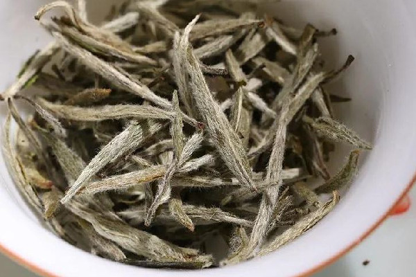 白毫銀針和白牡丹的區(qū)別有哪些 白毫銀針和白牡丹功效一樣嗎 白毫銀針和白牡丹的區(qū)別有哪些 白毫銀針和白牡丹功效一樣嗎