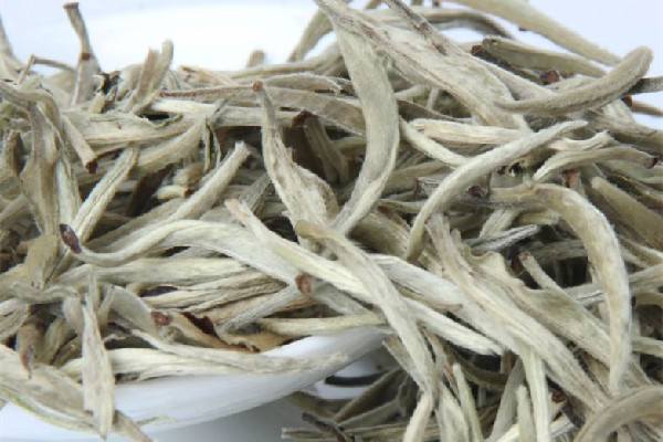 白毫銀針的功效和作用 白毫銀針適合什么季節(jié)飲用 白毫銀針的功效和作用 白毫銀針適合什么季節(jié)飲用