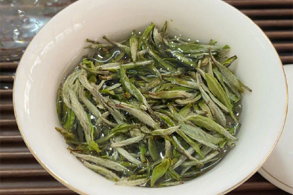 白毫銀針是新茶好還是老茶好 白毫銀針年份越久越好嗎 白毫銀針是新茶好還是老茶好 白毫銀針年份越久越好嗎
