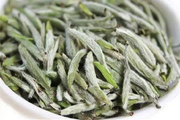 白毫銀針是新茶好還是老茶好 白毫銀針年份越久越好嗎 白毫銀針是新茶好還是老茶好 白毫銀針年份越久越好嗎