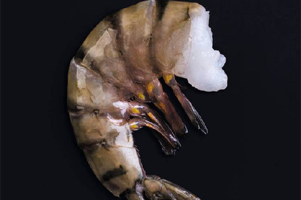 黑虎蝦是淡水蝦還是海水蝦 黑虎蝦是養(yǎng)殖的還是野生的 黑虎蝦是淡水蝦還是海水蝦 黑虎蝦是養(yǎng)殖的還是野生的