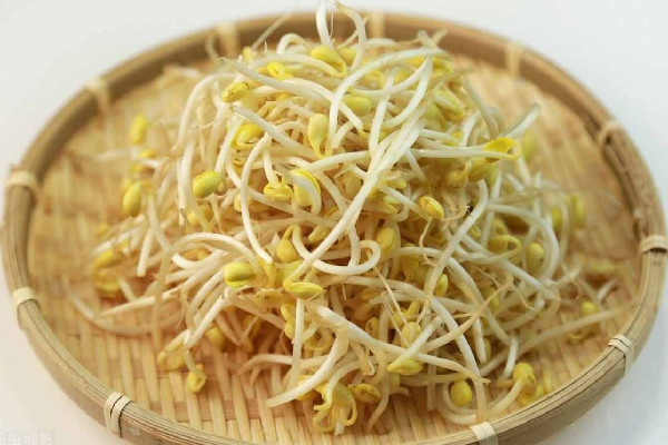 攤販在小便池接水泡發(fā)豆芽 豆芽制作方法 攤販在小便池接水泡發(fā)豆芽 豆芽制作方法