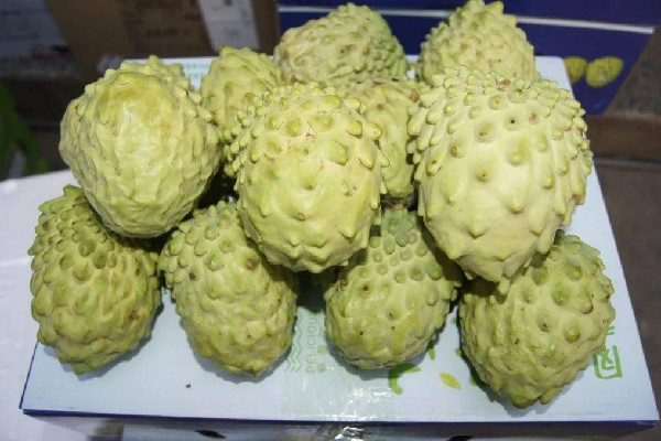 臺(tái)灣幾千噸鳳梨釋迦滯銷 鳳梨釋迦果的功效與作用 臺(tái)灣幾千噸鳳梨釋迦滯銷 鳳梨釋迦果的功效與作用