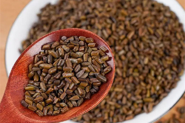 決明子會生蟲子嗎 決明子生蟲子了還能用嗎 決明子會生蟲子嗎 決明子生蟲子了還能用嗎