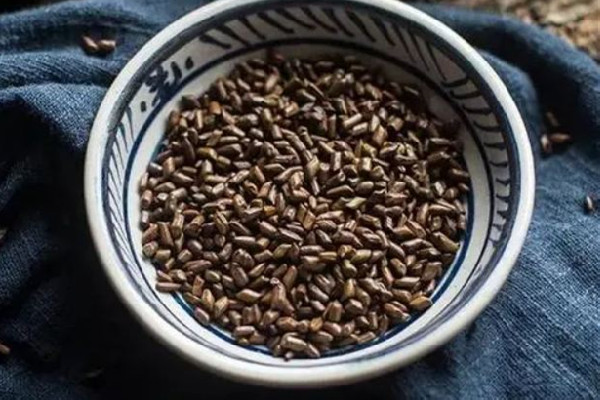 決明子和什么搭配最好 決明子菊花茶的功效和作用 決明子和什么搭配最好 決明子菊花茶的功效和作用