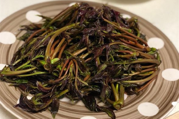 香椿有苦味正常嗎 香椿為什有股怪味 香椿有苦味正常嗎 香椿為什有股怪味