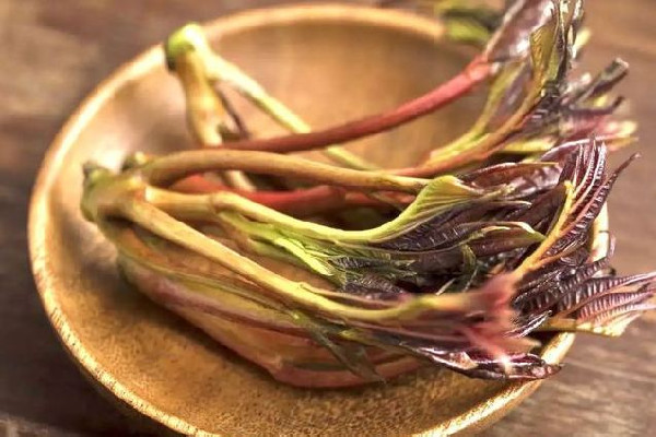 香椿可以放幾天 香椿可以放冰箱保鮮嗎 香椿可以放幾天 香椿可以放冰箱保鮮嗎