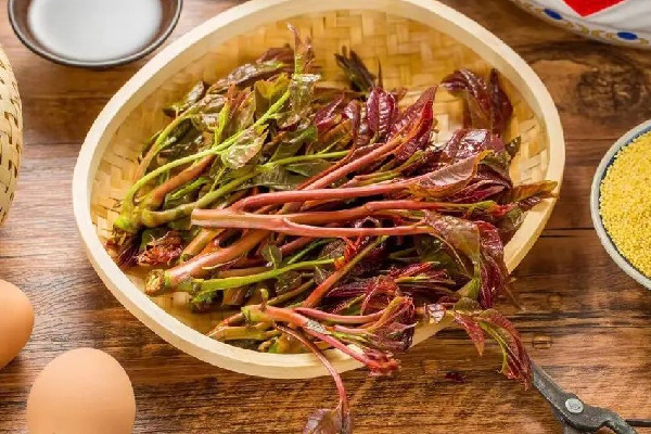 香椿要燙多久 香椿燙過發(fā)苦是什么原因 香椿要燙多久 香椿燙過發(fā)苦是什么原因