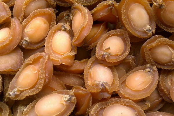 干鮑魚有什么營養(yǎng)價(jià)值 干鮑魚對(duì)人體有什么好處 干鮑魚有什么營養(yǎng)價(jià)值 干鮑魚對(duì)人體有什么好處
