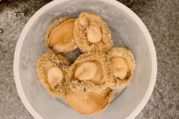 干鮑魚有沒有保質(zhì)期 干鮑魚可以存放多久 干鮑魚有沒有保質(zhì)期 干鮑魚可以存放多久