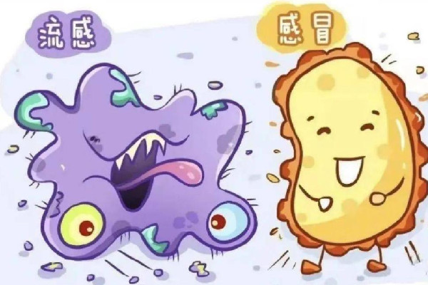 上海一小學(xué)某班級(jí)因流感停課4天 流感高發(fā)季節(jié)是幾月份 上海一小學(xué)某班級(jí)因流感停課4天 流感高發(fā)季節(jié)是幾月份