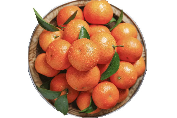 女生帶50斤砂糖橘返校結(jié)果全丟了 砂糖橘能放多久不會(huì)壞 女生帶50斤砂糖橘返校結(jié)果全丟了 砂糖橘能放多久不會(huì)壞