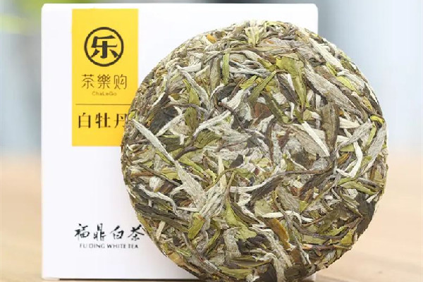 白牡丹茶要放冰箱嗎 白牡丹茶怎么保存 白牡丹茶要放冰箱嗎 白牡丹茶怎么保存