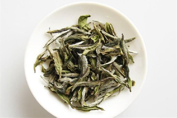 白牡丹茶屬于什么茶類 白牡丹茶和白茶的區(qū)別 白牡丹茶屬于什么茶類 白牡丹茶和白茶的區(qū)別