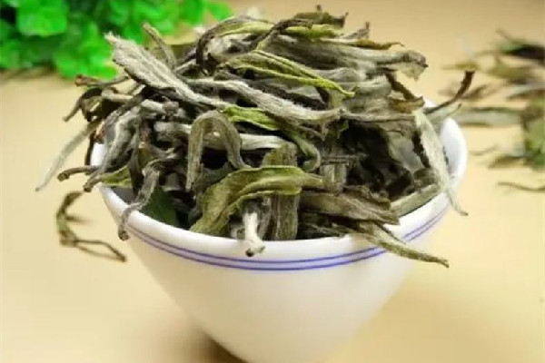 白牡丹茶發(fā)霉了怎么辦 白牡丹茶為什么有霉味 白牡丹茶發(fā)霉了怎么辦 白牡丹茶為什么有霉味