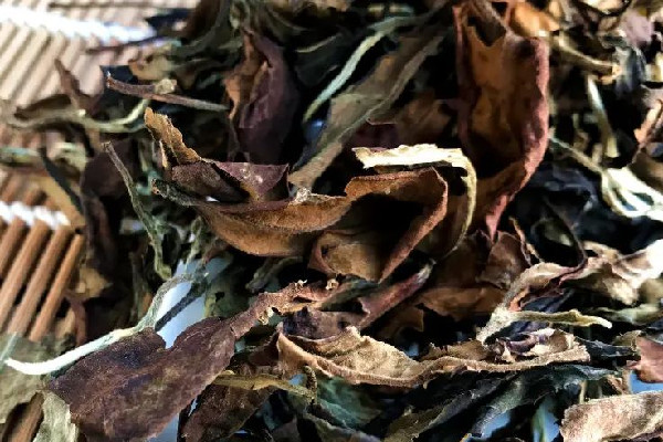 老白茶有霉味正常嗎 老白茶過(guò)期了還能喝嗎 老白茶有霉味正常嗎 老白茶過(guò)期了還能喝嗎