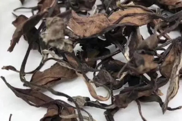 老白茶有霉味正常嗎 老白茶過(guò)期了還能喝嗎 老白茶有霉味正常嗎 老白茶過(guò)期了還能喝嗎