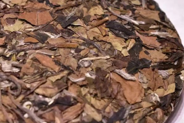 老白茶可以隔夜喝嗎 老白茶泡多久出湯 老白茶可以隔夜喝嗎 老白茶泡多久出湯