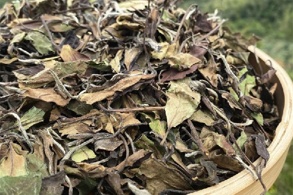 老白茶的價格是多少錢一斤 老白茶屬于什么檔次 老白茶的價格是多少錢一斤 老白茶屬于什么檔次