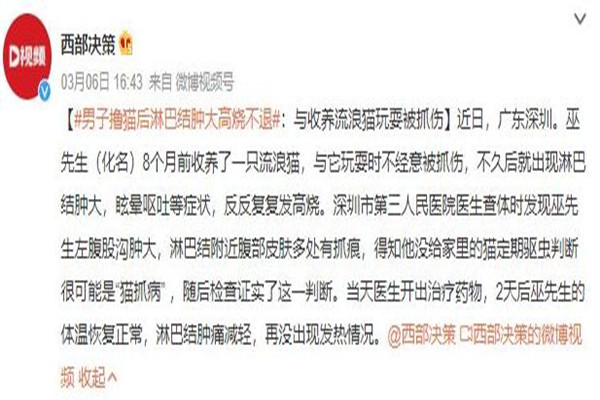 男子擼貓后淋巴結(jié)腫大高燒不退 被貓抓了怎么判斷沒事 男子擼貓后淋巴結(jié)腫大高燒不退 被貓抓了怎么判斷沒事