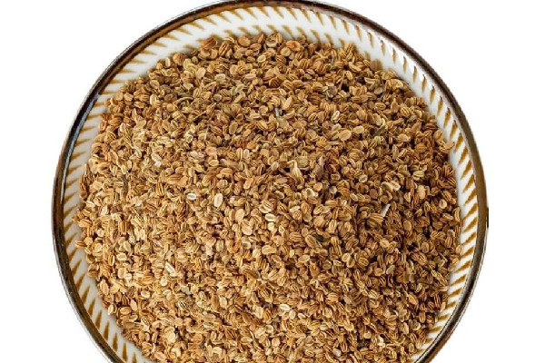 蛇床子泡水喝功效作用 蛇床子泡水喝能壯陽(yáng)嗎 蛇床子泡水喝功效作用 蛇床子泡水喝能壯陽(yáng)嗎