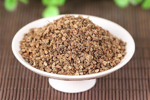 蛇床子可以放多久 蛇床子放久了能失效嗎 蛇床子可以放多久 蛇床子放久了能失效嗎