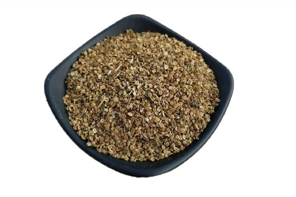 蛇床子可以放多久 蛇床子放久了能失效嗎 蛇床子可以放多久 蛇床子放久了能失效嗎