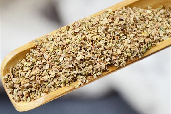 蛇床子可以外用嗎 蛇床子的用法 蛇床子可以外用嗎 蛇床子的用法