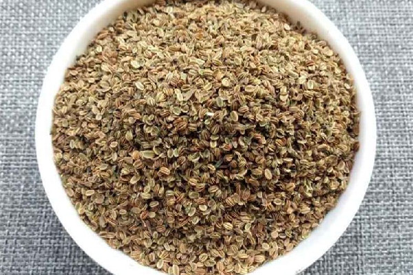 蛇床子和什么搭配最好 蛇床子可以和五味子一起泡水嗎 蛇床子和什么搭配最好 蛇床子可以和五味子一起泡水嗎