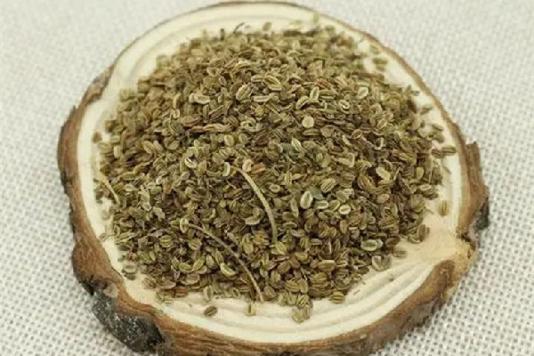 蛇床子和什么搭配最好 蛇床子可以和五味子一起泡水嗎 蛇床子和什么搭配最好 蛇床子可以和五味子一起泡水嗎