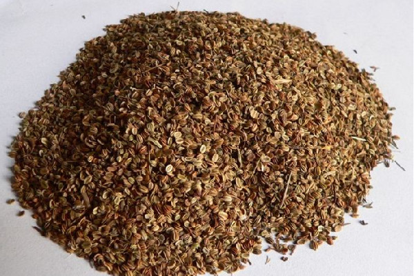 蛇床子可以放多久 蛇床子放久了能失效嗎 蛇床子可以放多久 蛇床子放久了能失效嗎