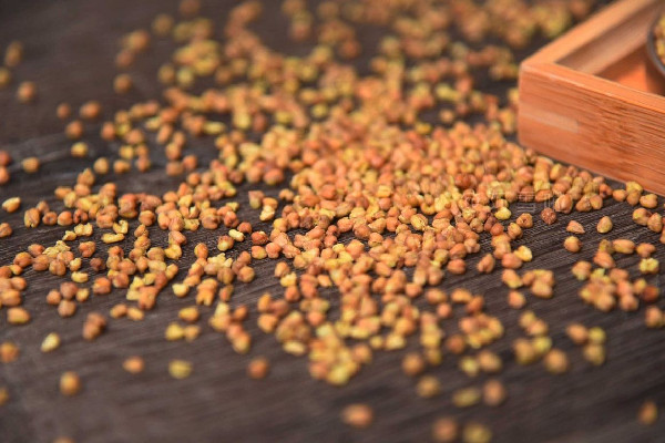 苦蕎茶可以放多久 苦蕎茶放久了還能喝嗎 苦蕎茶可以放多久 苦蕎茶放久了還能喝嗎