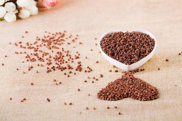 苦蕎茶隔夜還能喝嗎 苦蕎茶可以泡保溫杯里喝嗎 苦蕎茶隔夜還能喝嗎 苦蕎茶可以泡保溫杯里喝嗎