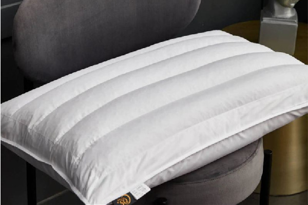 蕎麥枕頭生蟲怎么辦 蕎麥枕頭生蟲會(huì)咬人嗎 蕎麥枕頭生蟲怎么辦 蕎麥枕頭生蟲會(huì)咬人嗎