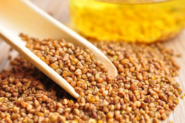 苦蕎茶的功效和作用 苦蕎茶是涼性的嗎 苦蕎茶的功效和作用 苦蕎茶是涼性的嗎