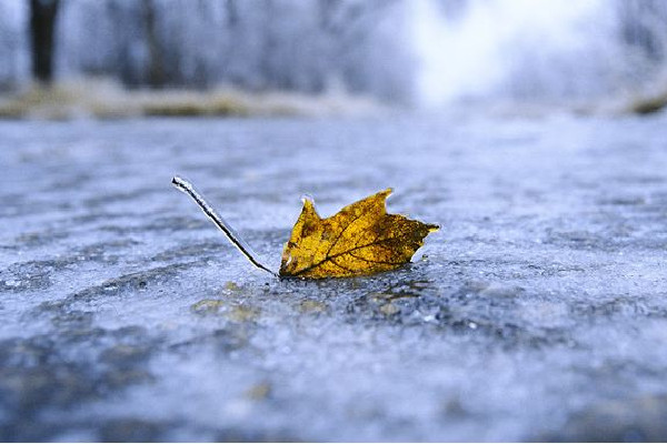 寒潮即將席卷國內(nèi)大部分地區(qū) 寒潮一般發(fā)生在什么季節(jié)