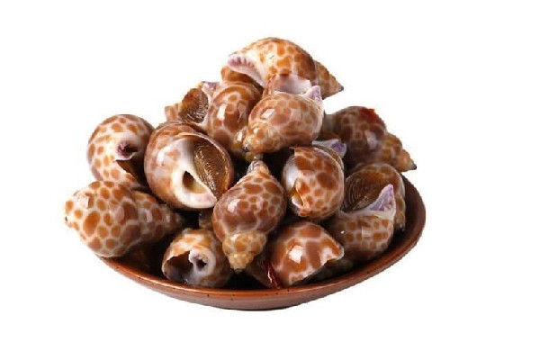 花螺炒幾分鐘能熟 花螺炒什么好吃 花螺炒幾分鐘能熟 花螺炒什么好吃