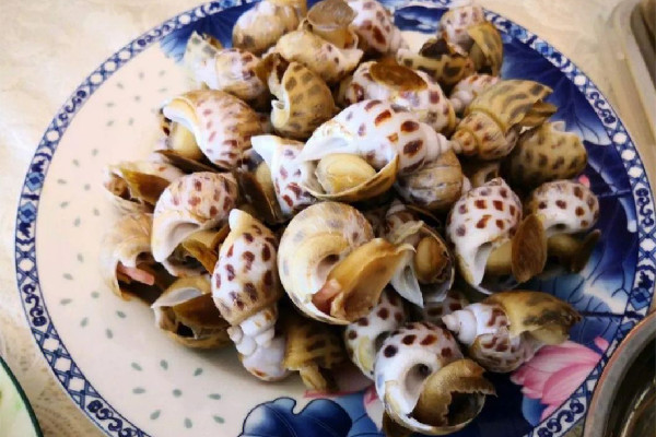 花螺炒幾分鐘能熟 花螺炒什么好吃 花螺炒幾分鐘能熟 花螺炒什么好吃