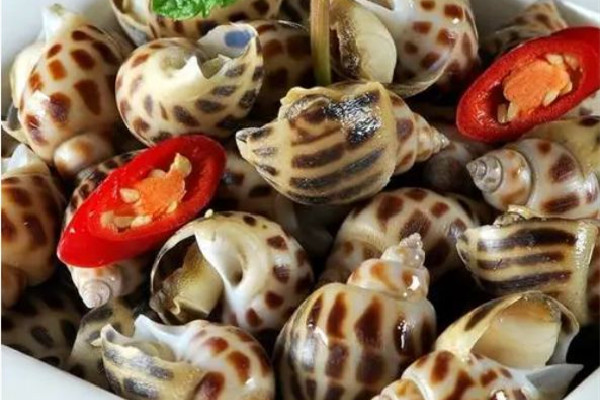 花螺怎么挑選新鮮的 花螺買回來(lái)要泡水嗎