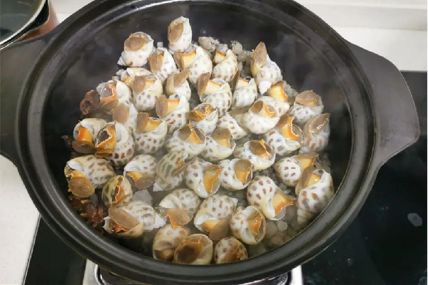 花螺要冷水煮還是熱水煮 花螺要放料酒煮嗎 花螺要冷水煮還是熱水煮 花螺要放料酒煮嗎