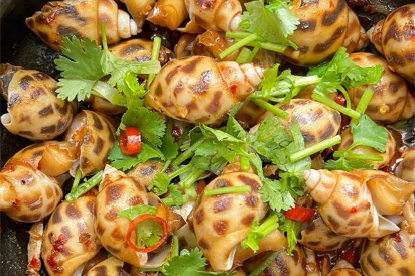 花螺多少錢(qián)一斤市場(chǎng)價(jià)2023 花螺是什么季節(jié)吃的 花螺多少錢(qián)一斤市場(chǎng)價(jià)2023 花螺是什么季節(jié)吃的