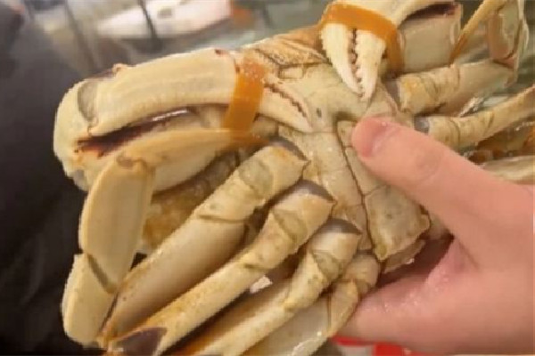 一斤皮筋賣出上百元螃蟹價 買螃蟹要注意什么 一斤皮筋賣出上百元螃蟹價 買螃蟹要注意什么