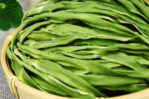 貢菜可以放多久 貢菜放久了可以吃嗎 貢菜可以放多久 貢菜放久了可以吃嗎